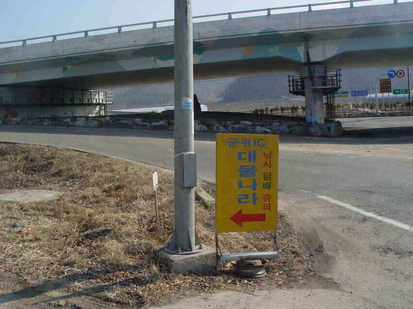 군위붕어를만나러꾼의길을군위로오시면즐거울실것입니다 (조황조행기 - 낚시점조황)