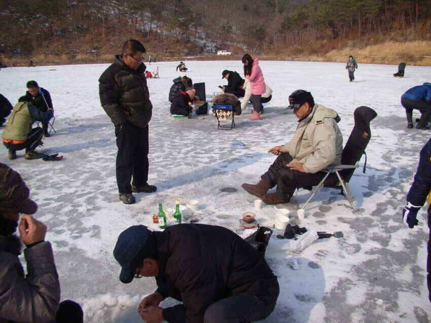 군위내의지빙어낚시30100여수마릿수 (조황조행기 - 낚시점조황)