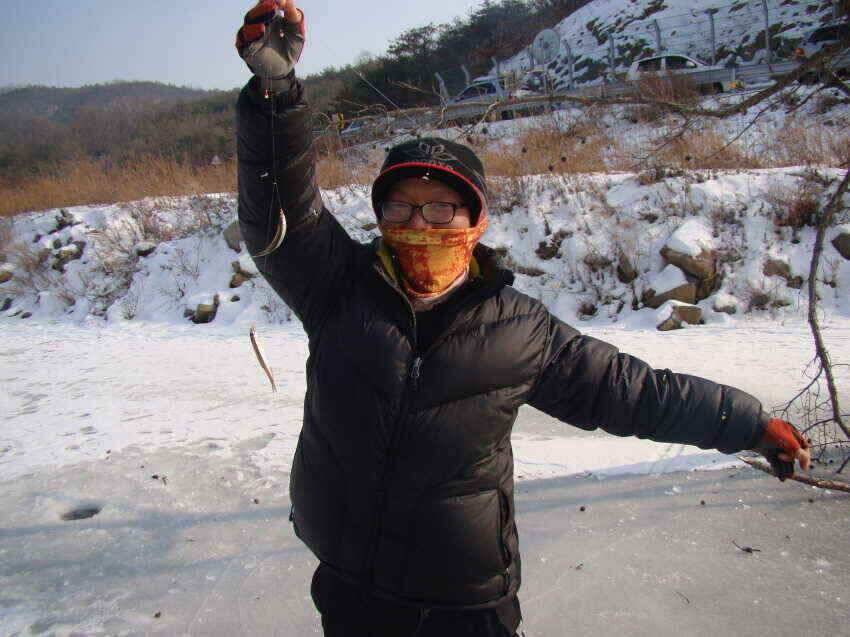 군위내의지빙어낚시30100여수마릿수 (조황조행기 - 낚시점조황)