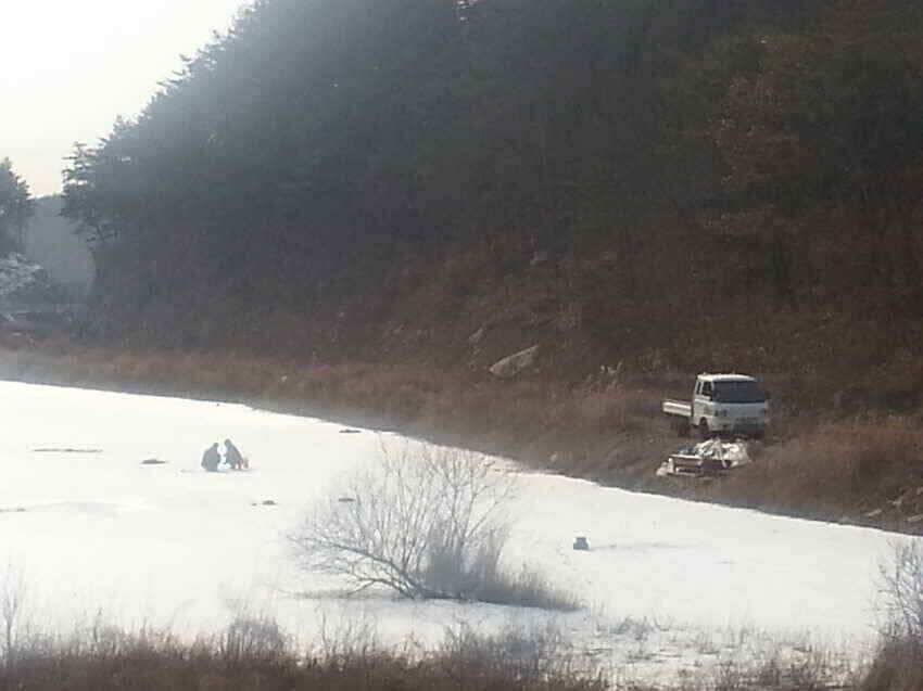 군위블루길낚시대박행진군위빙어낚시군위붕어낚시너무잘되는것같습니다이번주말도여전히 얼음타기좋을듯예상을 (조황조행기 - 낚시점조황)