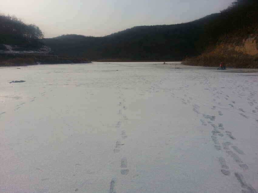 군위블루길낚시대박행진군위빙어낚시군위붕어낚시너무잘되는것같습니다이번주말도여전히 얼음타기좋을듯예상을 (조황조행기 - 낚시점조황)