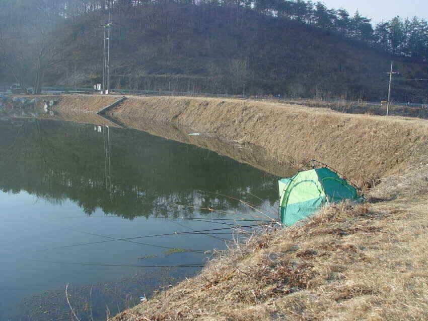 군위저수지붕어물낚시슬슬시작 (조황조행기 - 낚시점조황)