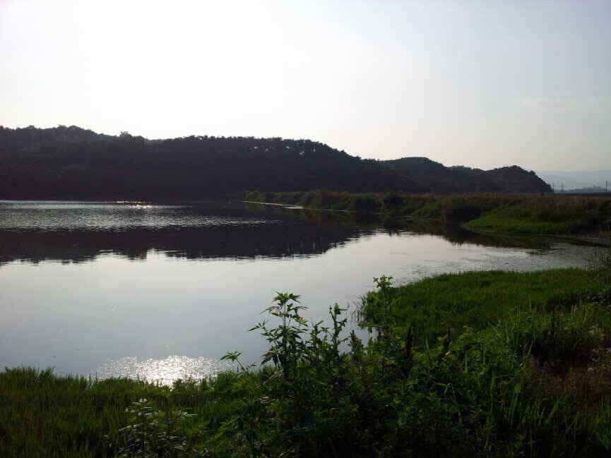 지금 출발 하십시요 (조황조행기 - 낚시점조황)