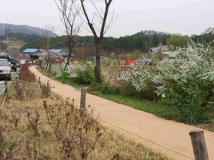 이제는 노릴때 입니다 (조황조행기 - 낚시점조황)