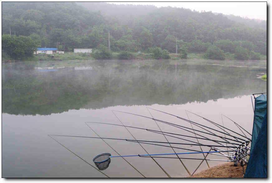 칠곡성주권조황455444443333332외마리수 (조황조행기 - 낚시점조황)