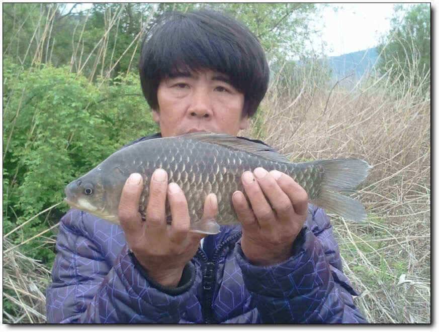 칠곡성주권 대물조황 (조황조행기 - 낚시점조황)