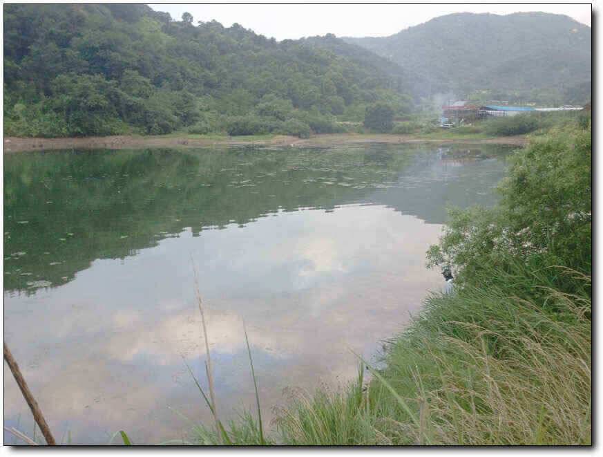 칠곡성주권조황454436353434외 마리수 (조황조행기 - 낚시점조황)