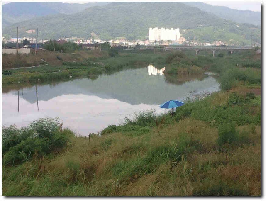 칠곡성주권조황454436353434외 마리수 (조황조행기 - 낚시점조황)