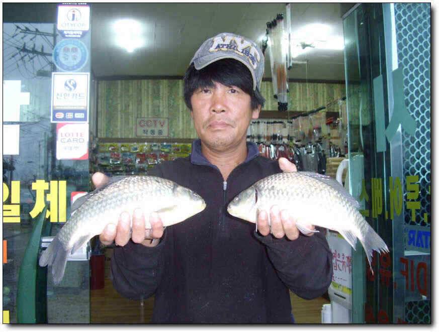 칠곡성주권 대물조황 (조황조행기 - 낚시점조황)