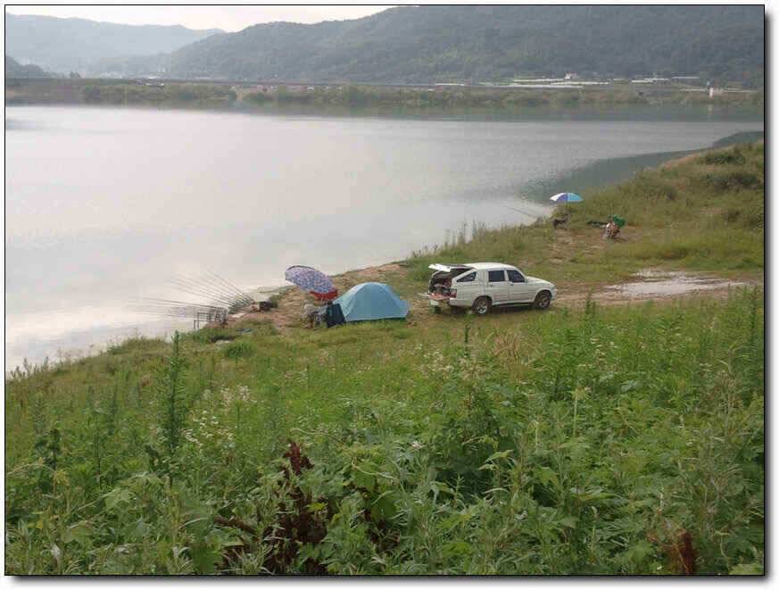 칠곡성주권조황454436353434외 마리수 (조황조행기 - 낚시점조황)