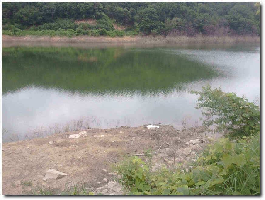 칠곡성주권조황454436353434외 마리수 (조황조행기 - 낚시점조황)