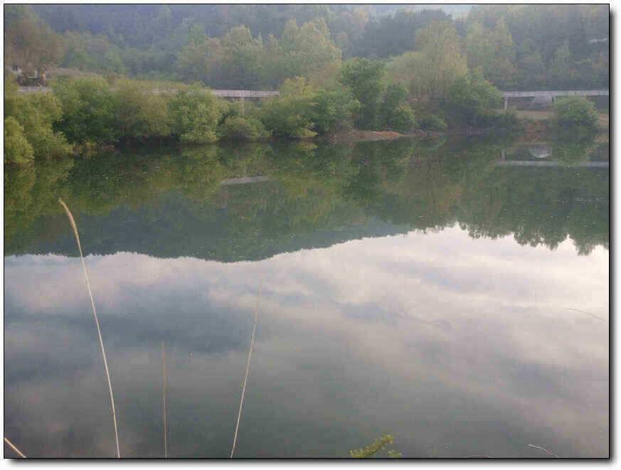 칠곡성주권 대물조황 (조황조행기 - 낚시점조황)