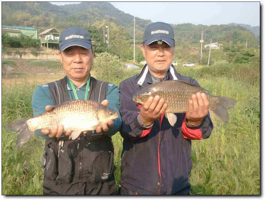 칠곡성주권464645444240대박조황 (조황조행기 - 낚시점조황)