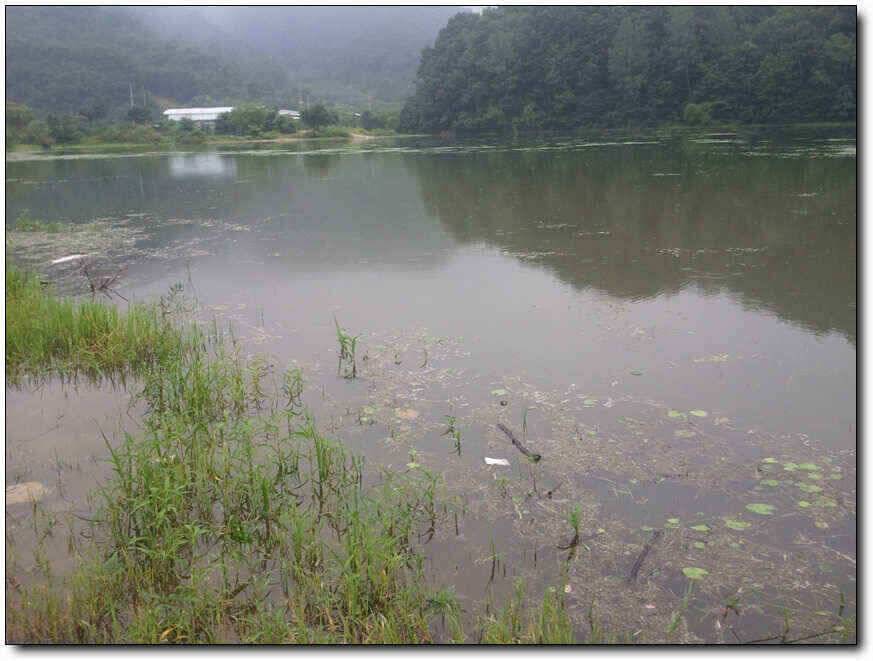 칠곡성주권조황새물타임 대박조황 (조황조행기 - 낚시점조황)