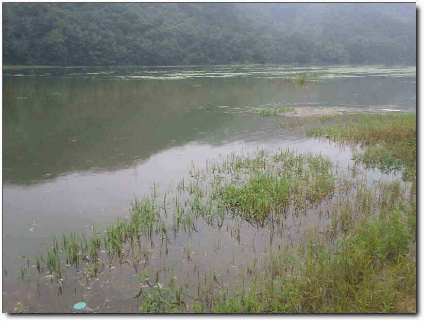 칠곡성주권조황새물타임 대박조황 (조황조행기 - 낚시점조황)