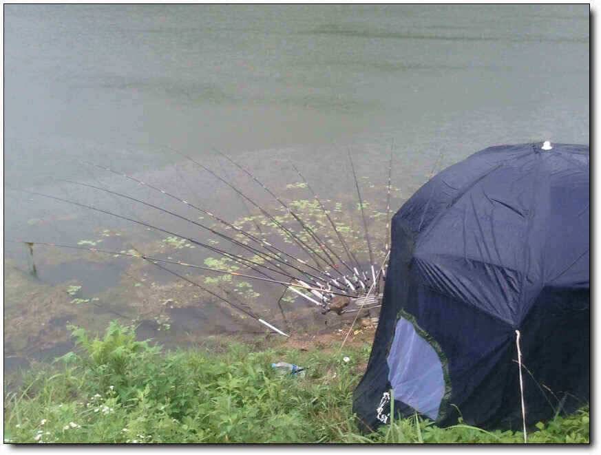 칠곡성주권조황새물타임 대박조황 (조황조행기 - 낚시점조황)