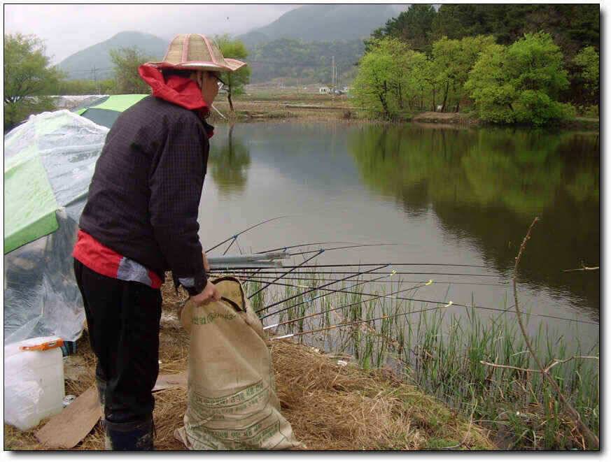 칠곡성주권38383532호조황 (조황조행기 - 낚시점조황)