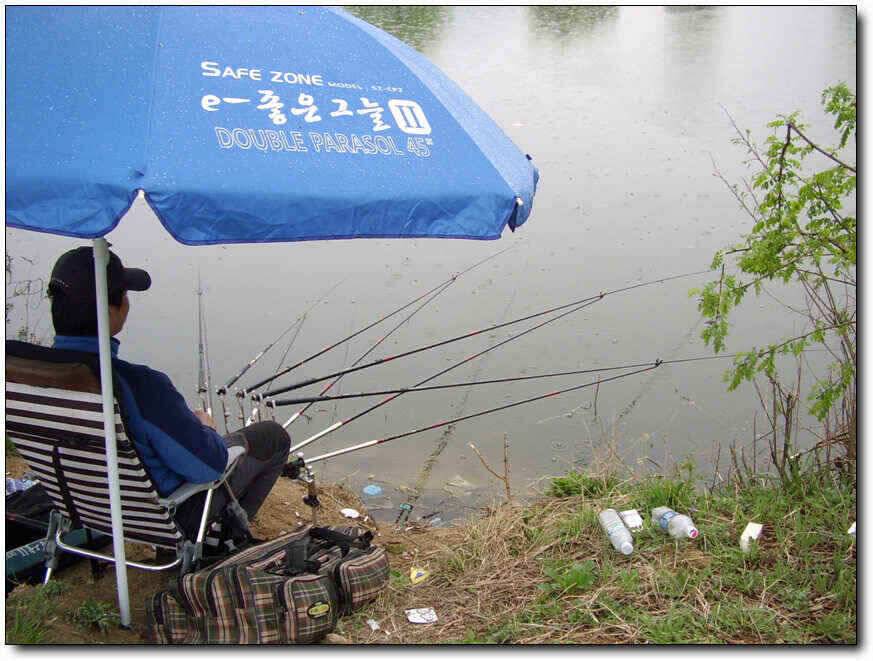 칠곡성주권38383532호조황 (조황조행기 - 낚시점조황)