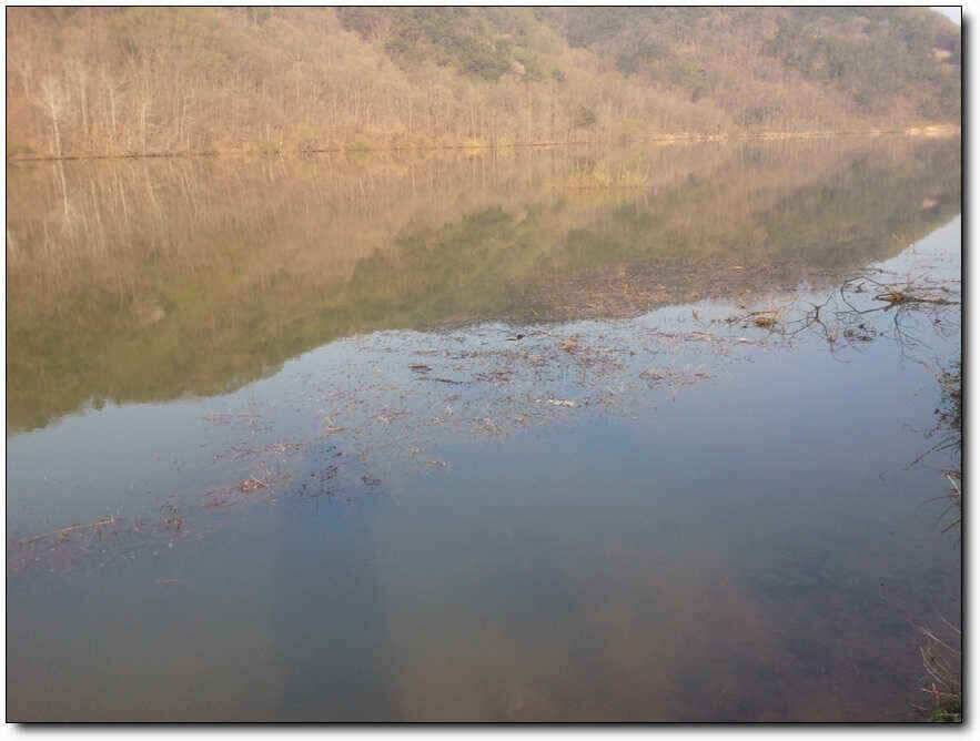 칠곡성주권 대물 퍼레이드 (조황조행기 - 낚시점조황)