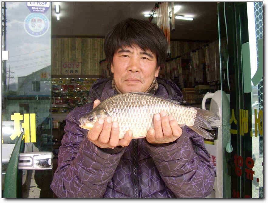 칠곡성주권 조황및 분석 (조황조행기 - 낚시점조황)