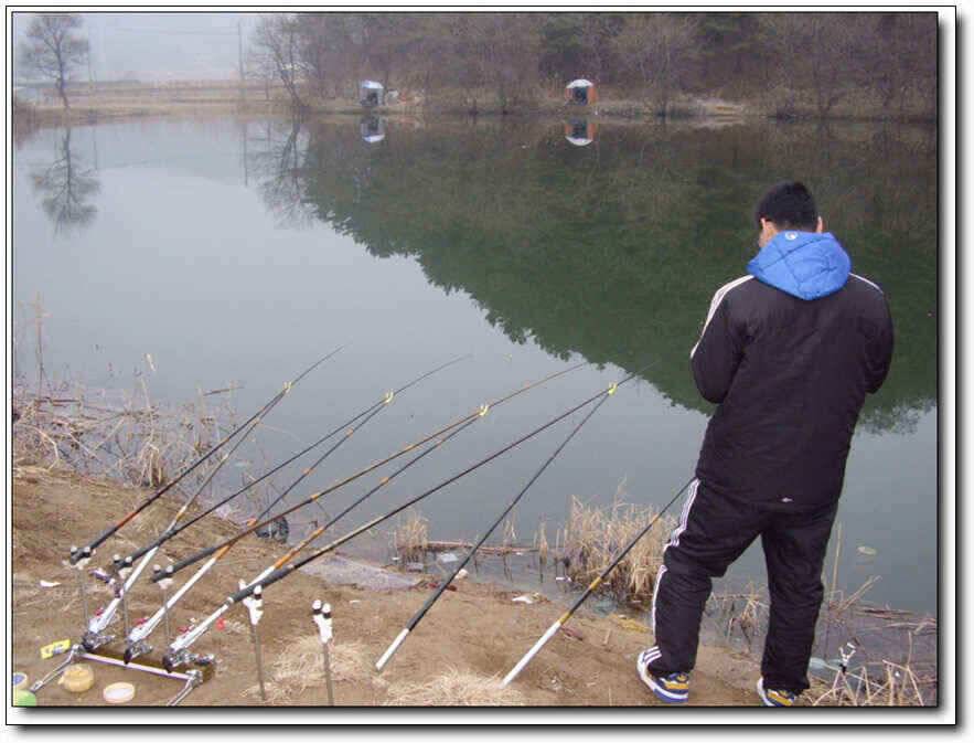 칠곡성주권 조황및 분석 (조황조행기 - 낚시점조황)