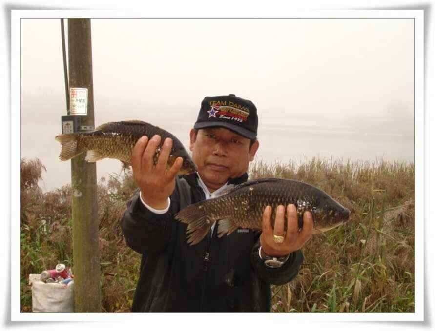 대도 세우지 못하고 (조황조행기 - 낚시점조황)