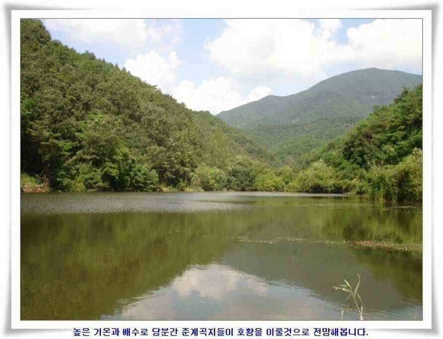 엄청난 대물들이 (조황조행기 - 낚시점조황)