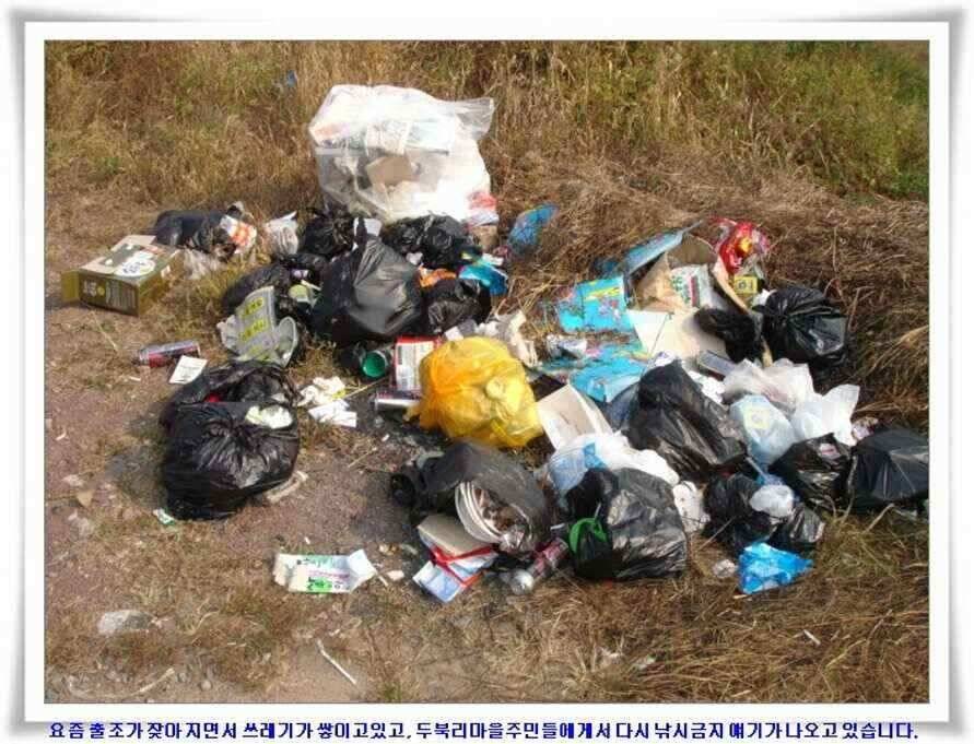 멋진 대물붕어와 포인트들 (조황조행기 - 낚시점조황)