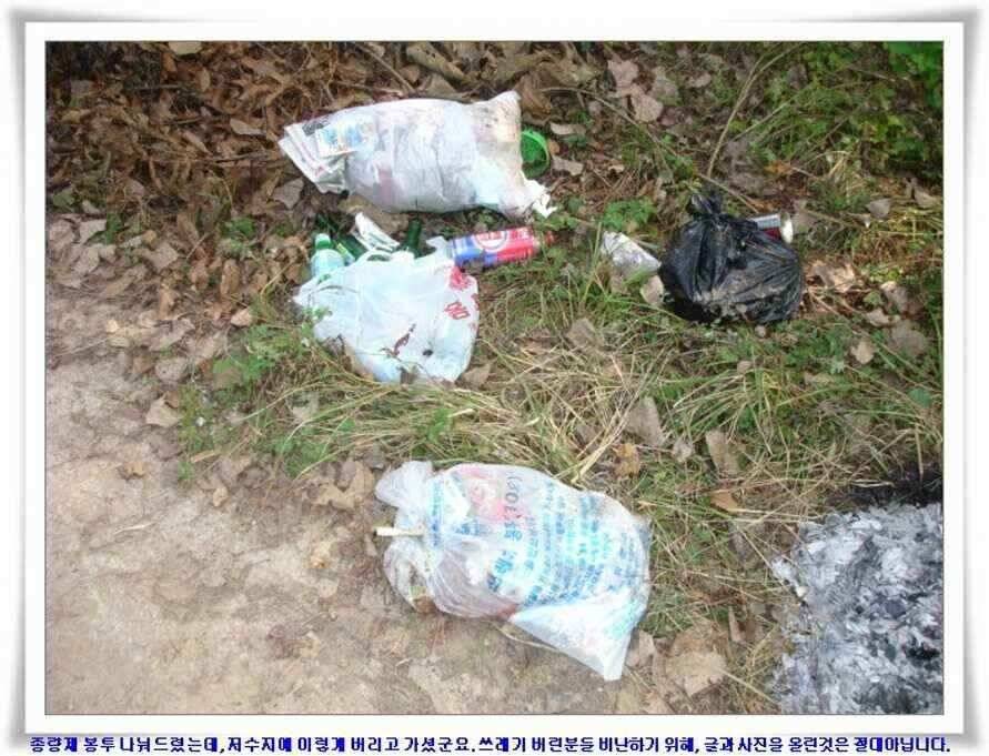 멋진 대물붕어와 포인트들 (조황조행기 - 낚시점조황)