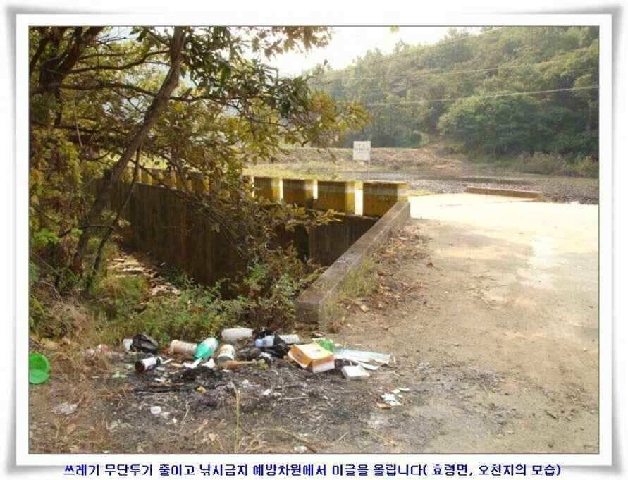 멋진 대물붕어와 포인트들 (조황조행기 - 낚시점조황)
