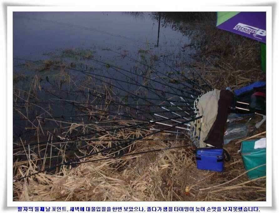마지막 물낚시 준비하시지요 (조황조행기 - 낚시점조황)
