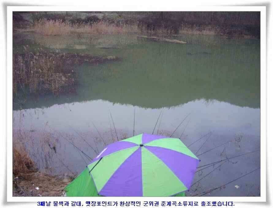 마지막 물낚시 준비하시지요 (조황조행기 - 낚시점조황)
