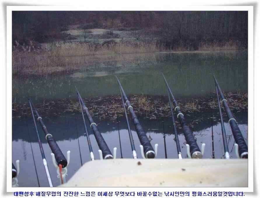 마지막 물낚시 준비하시지요 (조황조행기 - 낚시점조황)