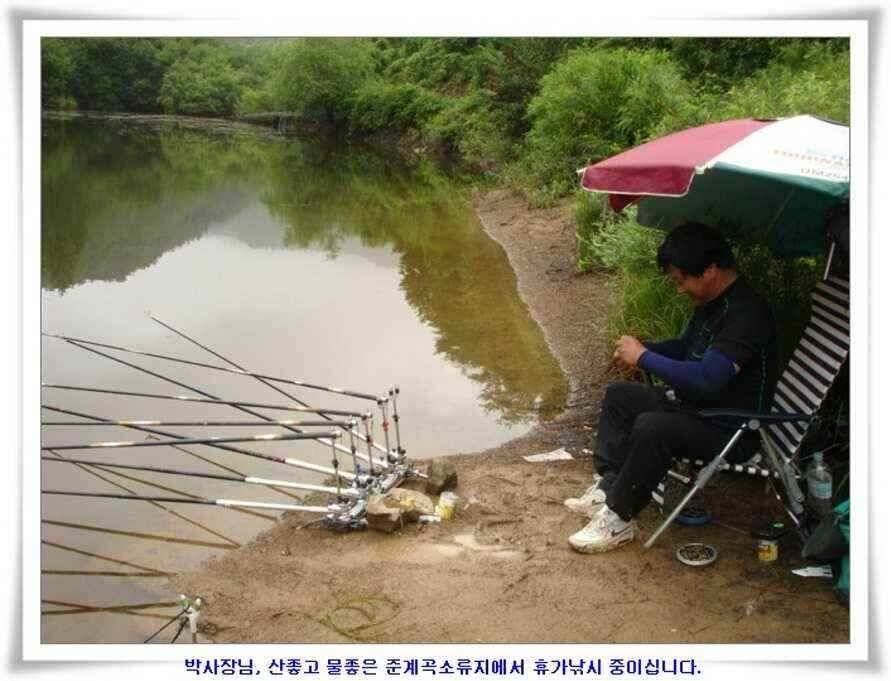 휴가낚시 준비하시죠 (조황조행기 - 낚시점조황)