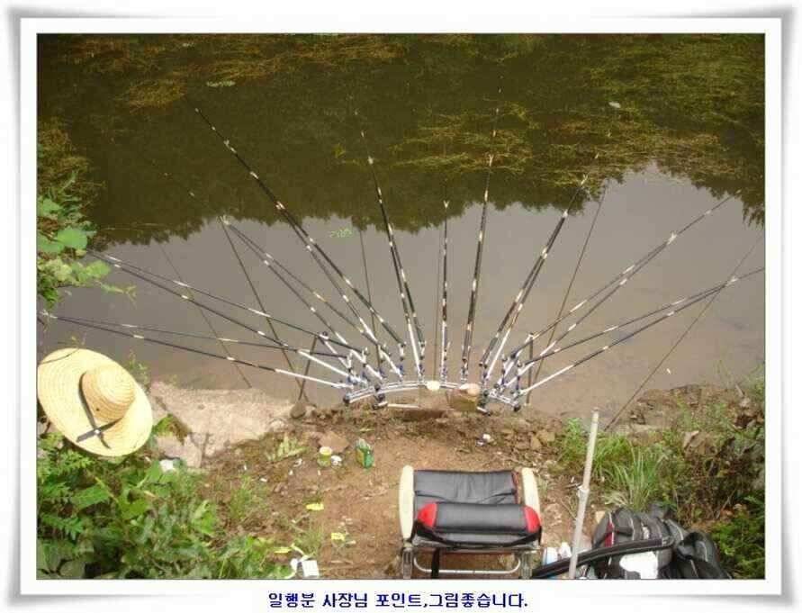 휴가낚시 준비하시죠 (조황조행기 - 낚시점조황)