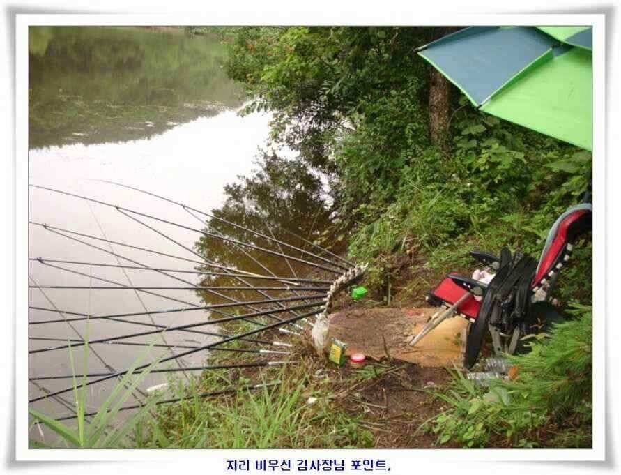 휴가낚시 준비하시죠 (조황조행기 - 낚시점조황)