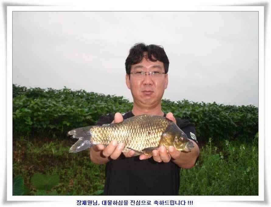 휴가낚시 준비하시죠 (조황조행기 - 낚시점조황)