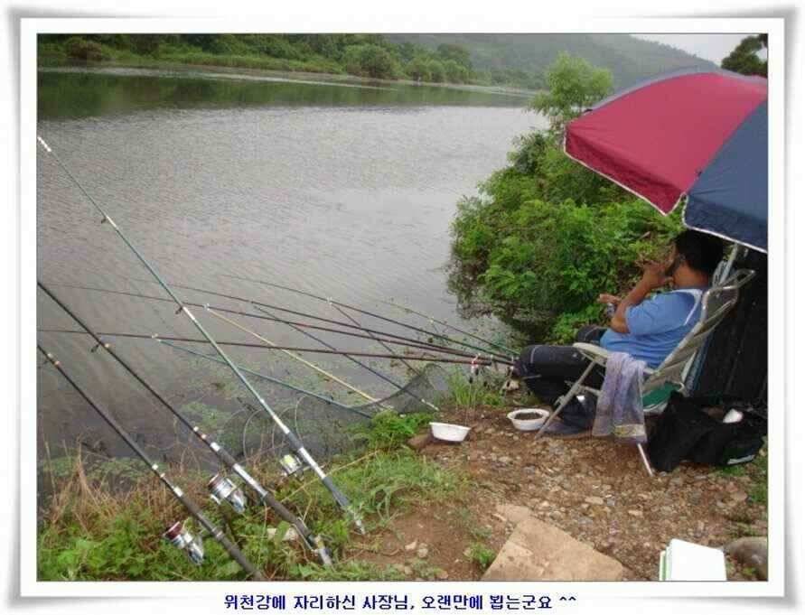 휴가낚시 준비하시죠 (조황조행기 - 낚시점조황)