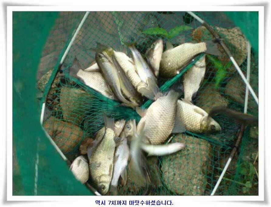 휴가낚시 준비하시죠 (조황조행기 - 낚시점조황)