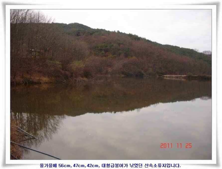 저수지조황과 기대되는 대물터들 (조황조행기 - 낚시점조황)