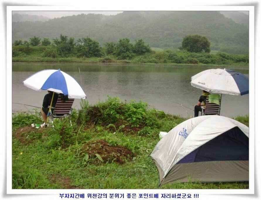 휴가낚시 준비하시죠 (조황조행기 - 낚시점조황)