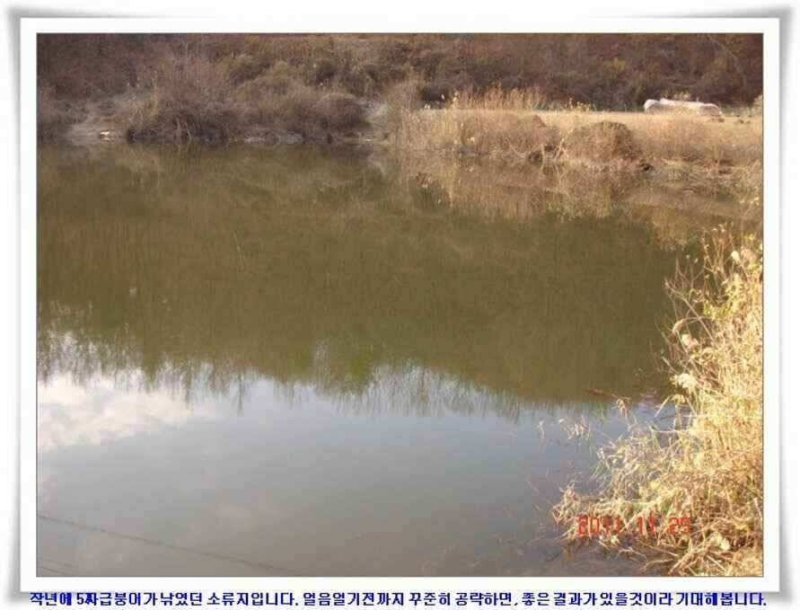 저수지조황과 기대되는 대물터들 (조황조행기 - 낚시점조황)