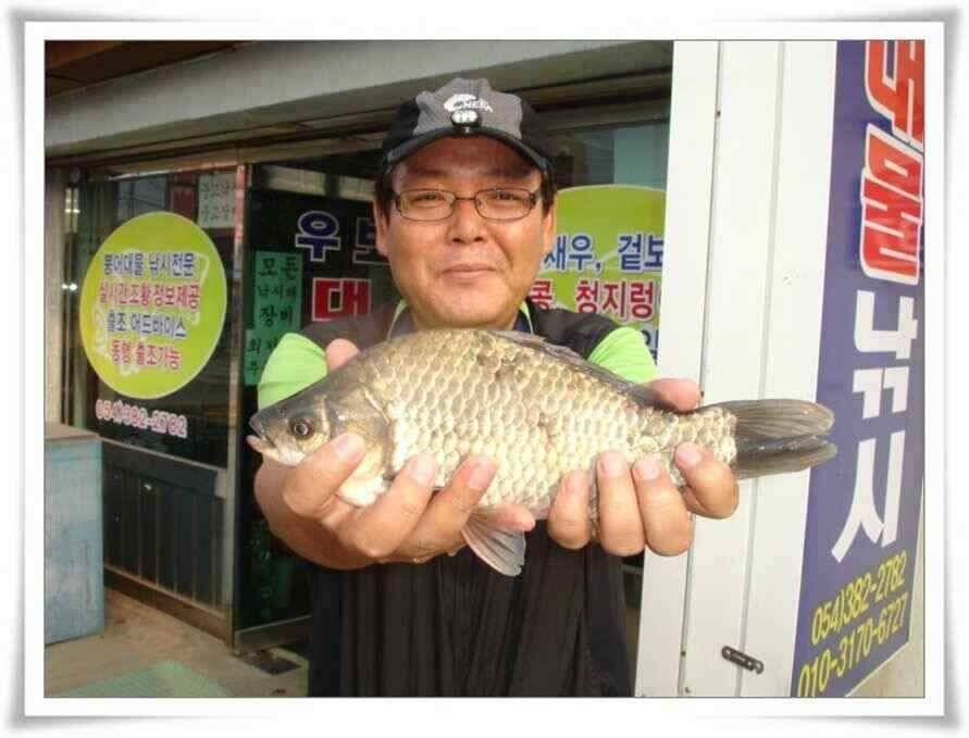 배수기월척과 강낚시호조황 (조황조행기 - 낚시점조황)