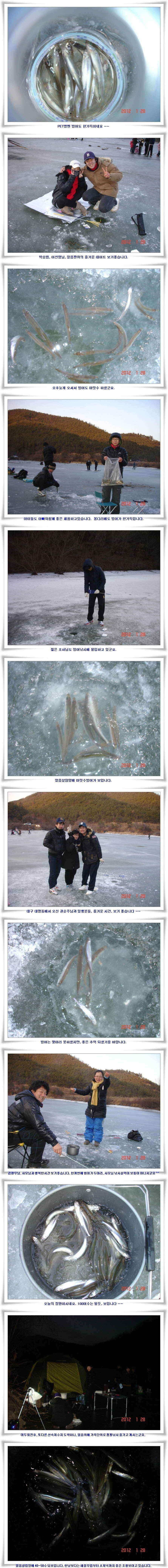 가족과 즐거운 빙어낚시를 (조황조행기 - 낚시점조황)