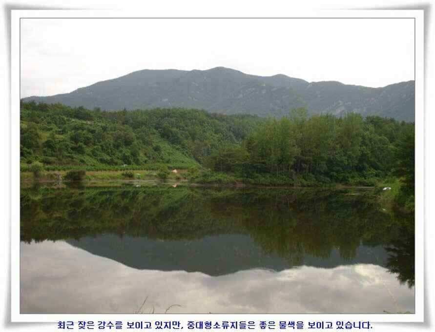 대형지 덩어리출현 (조황조행기 - 낚시점조황)