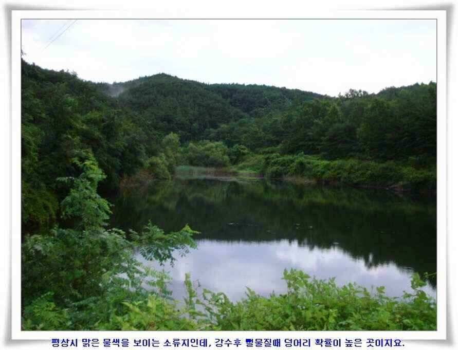 대형지 덩어리출현 (조황조행기 - 낚시점조황)