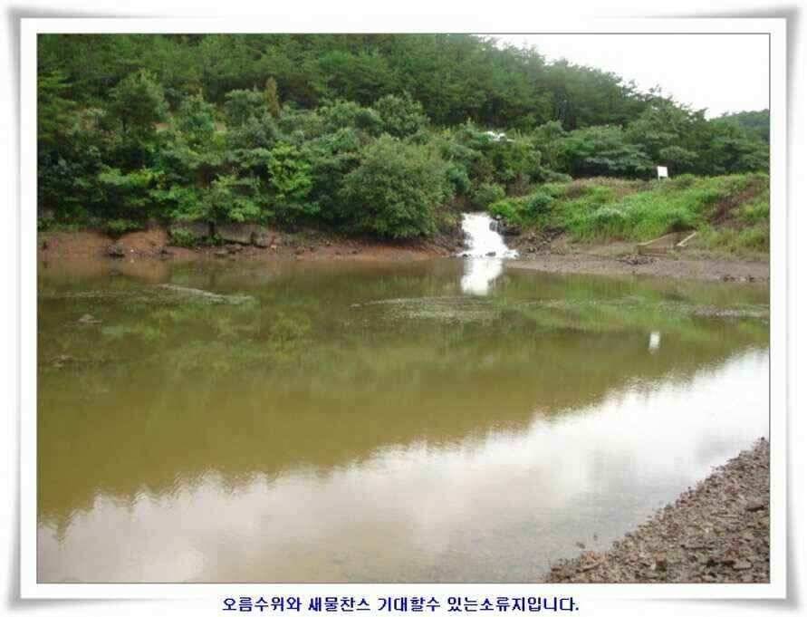 대형지 덩어리출현 (조황조행기 - 낚시점조황)