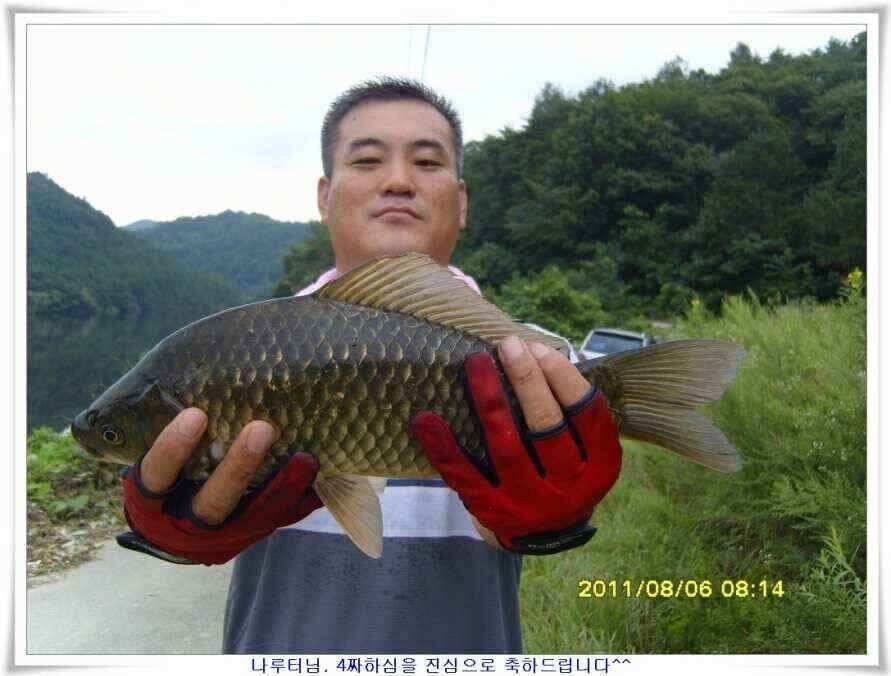 대형지 덩어리출현 (조황조행기 - 낚시점조황)
