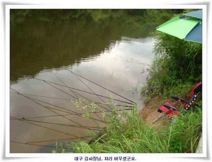 대형지 덩어리출현 (조황조행기 - 낚시점조황)