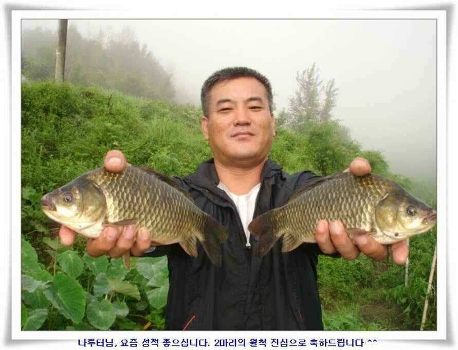 대형지 덩어리출현 (조황조행기 - 낚시점조황)